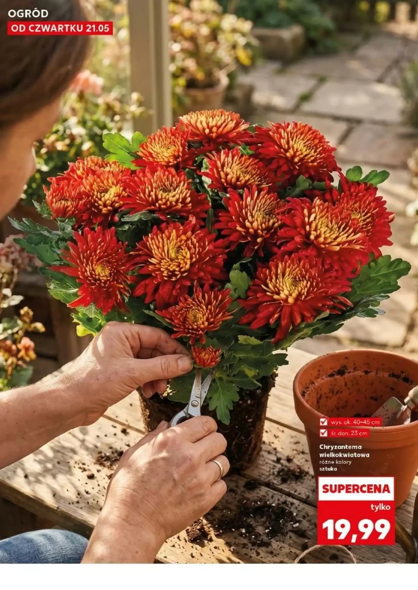 Strona 10 z gazetki Kaufland