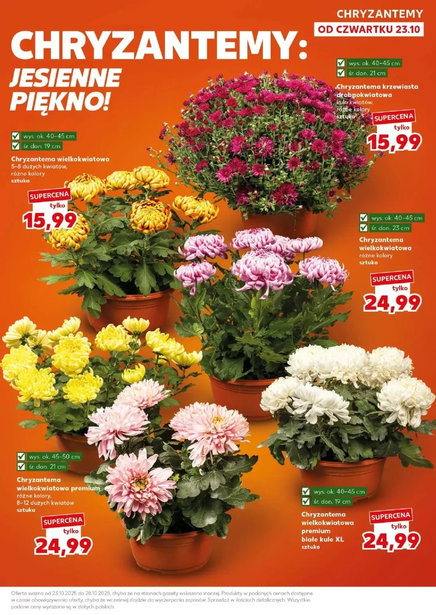 Strona 9 z gazetki Kaufland