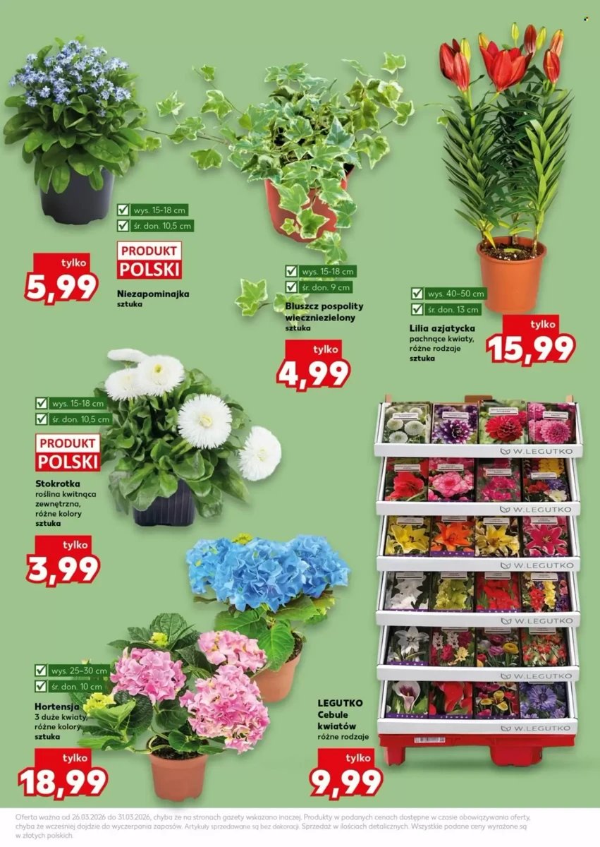 Strona 11 z gazetki Kaufland