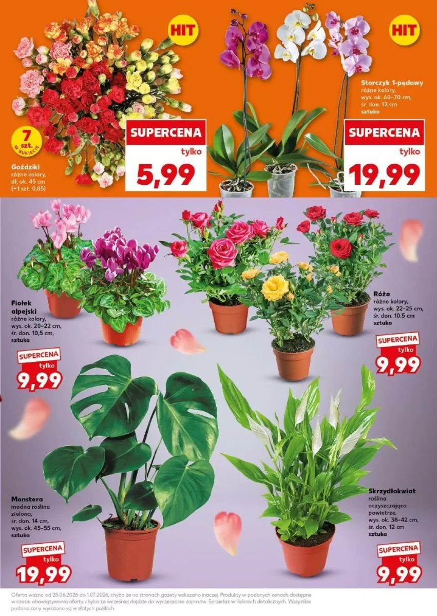 Strona 7 z gazetki Kaufland