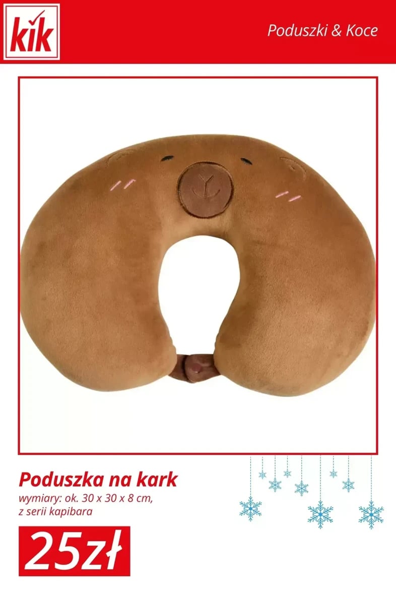 Strona 7 z gazetki Kik
