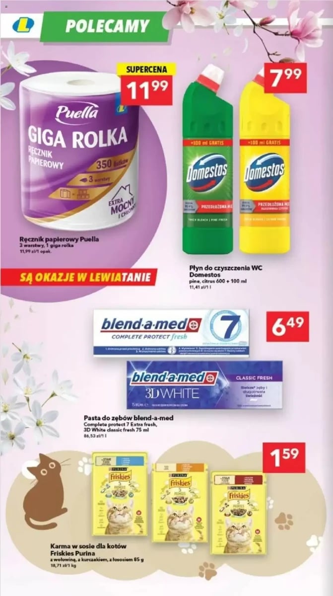 Strona 13 z gazetki Lewiatan