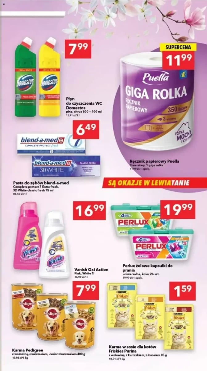 Strona 13 z gazetki Lewiatan