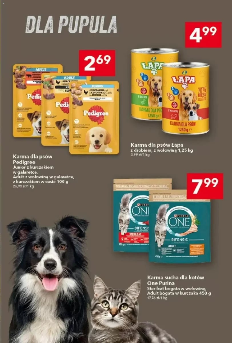 Strona 15 z gazetki Lewiatan