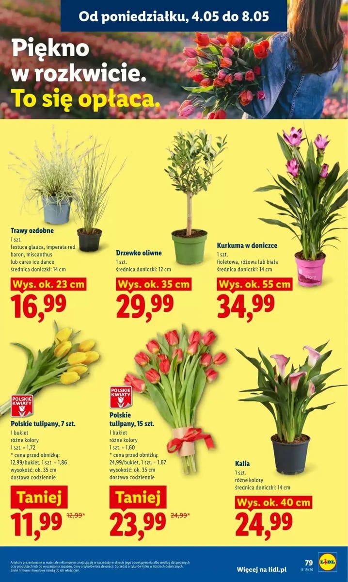 Strona 85 z gazetki Lidl
