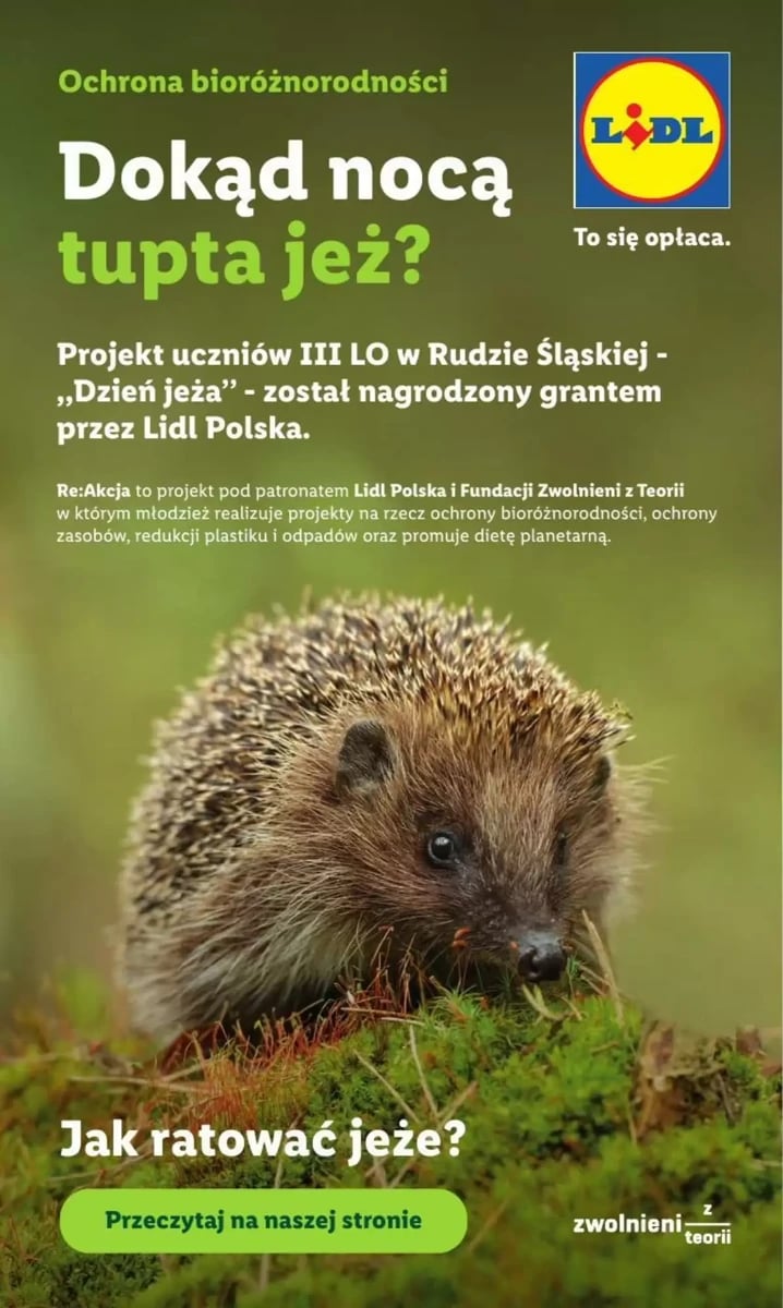 Strona 96 z gazetki Lidl