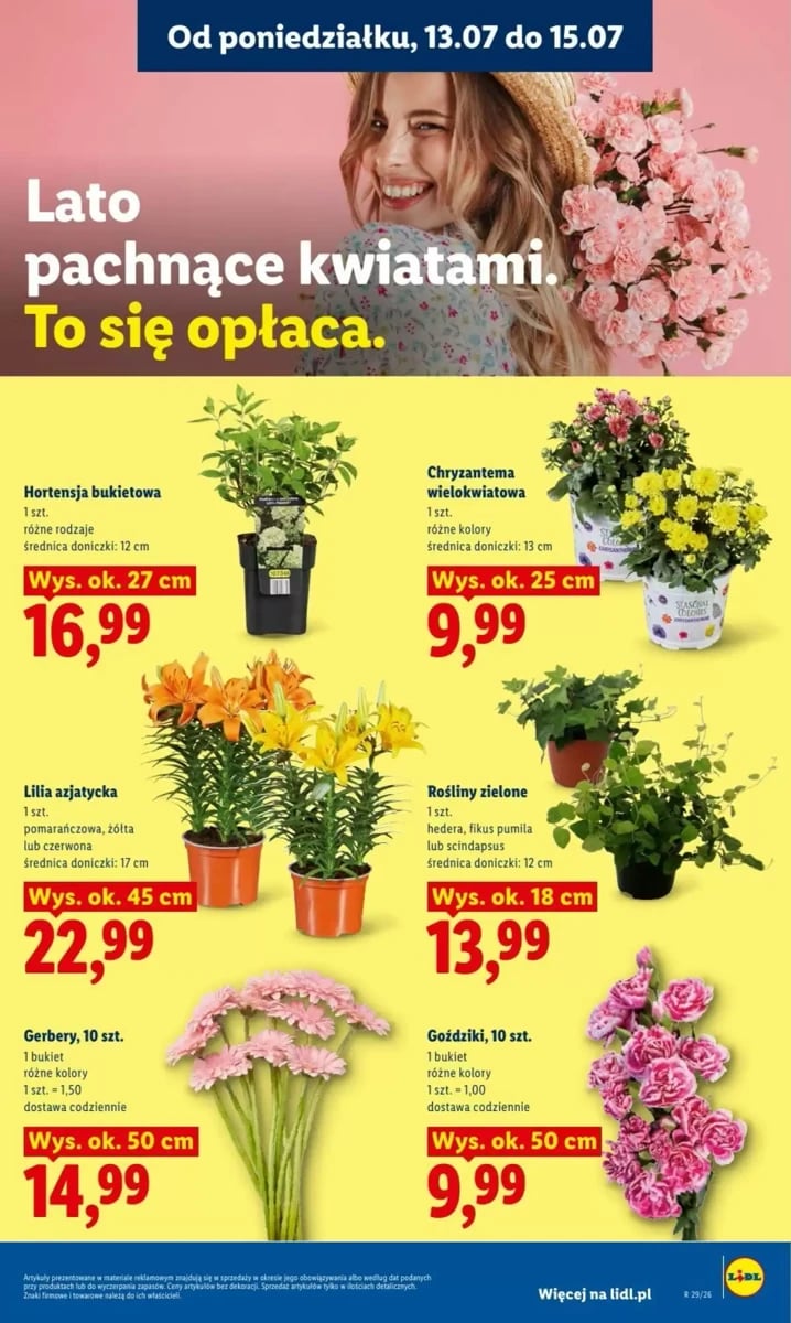 Strona 87 z gazetki Lidl