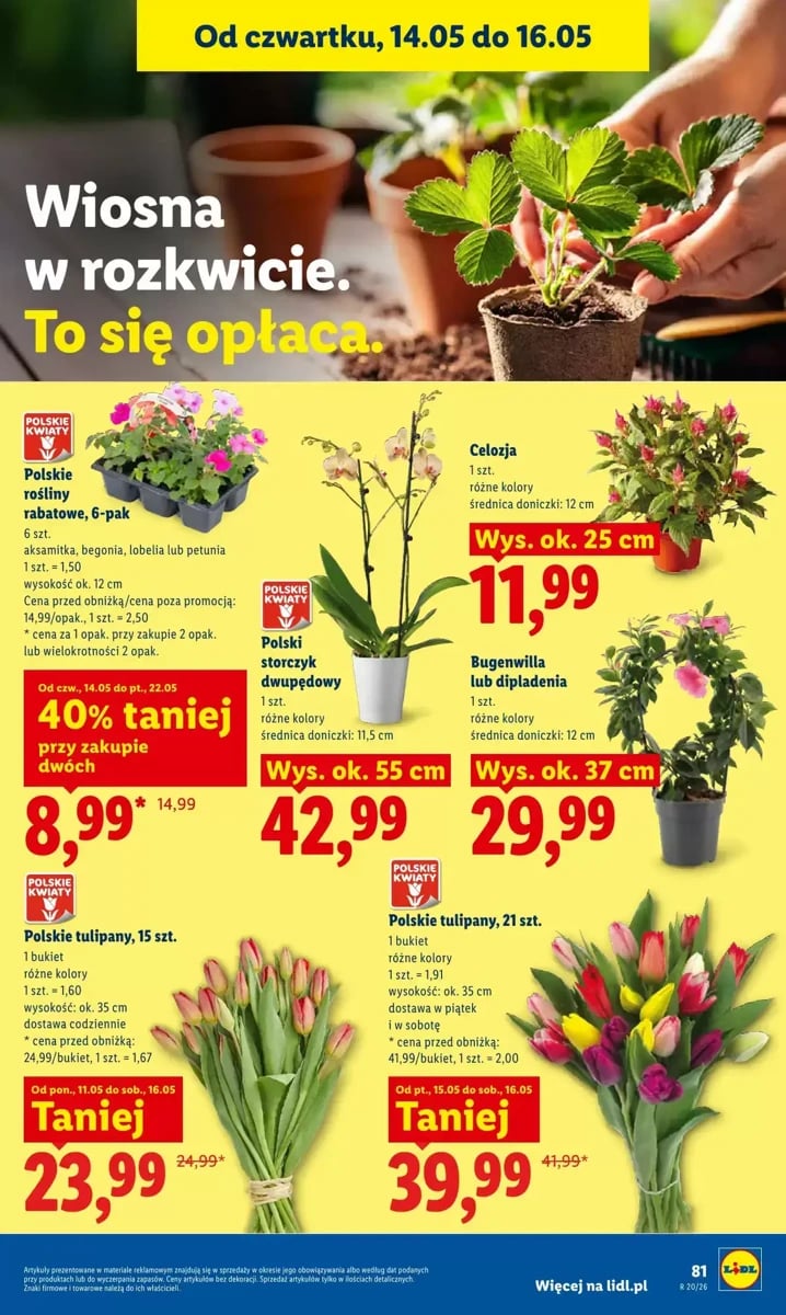 Strona 89 z gazetki Lidl