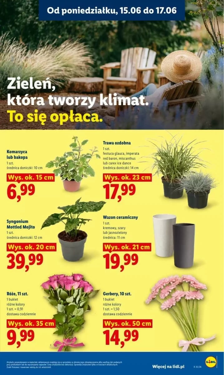 Strona 99 z gazetki Lidl