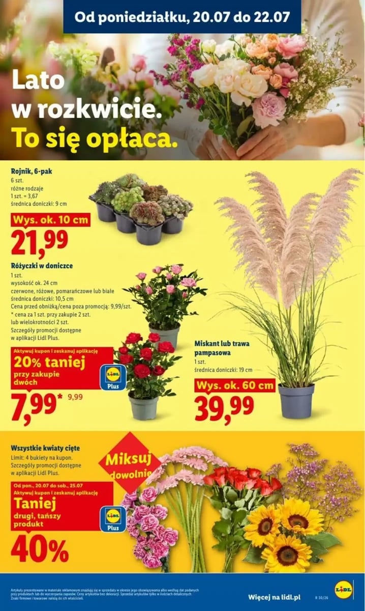 Strona 102 z gazetki Lidl