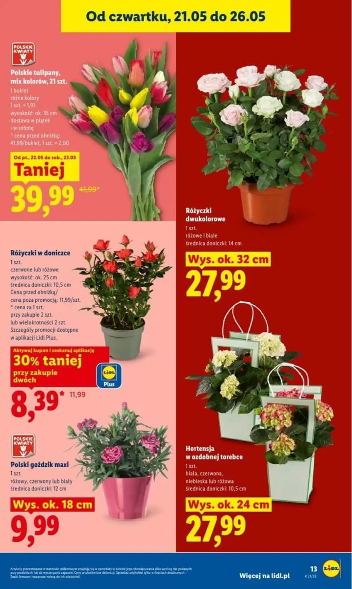 Strona 13 z gazetki Lidl
