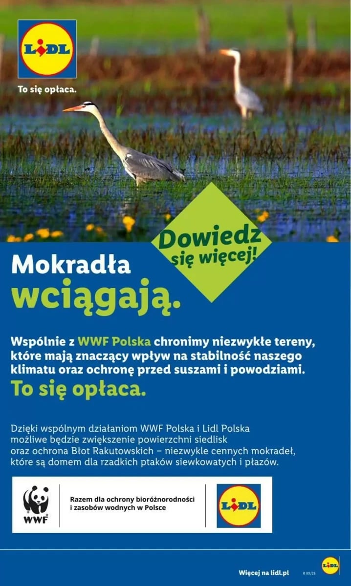 Strona 11 z gazetki Lidl