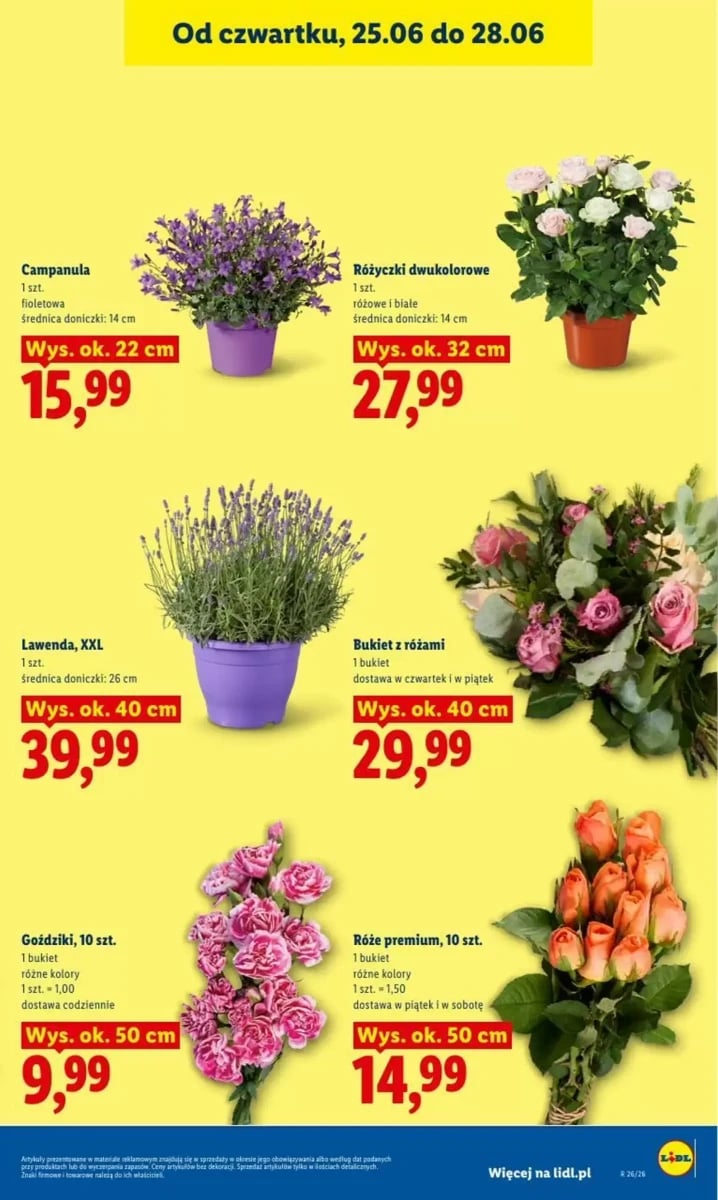 Strona 41 z gazetki Lidl