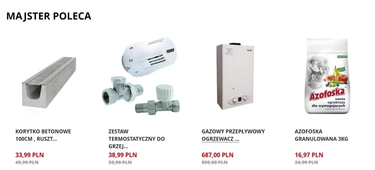 Strona 1 z gazetki Majster