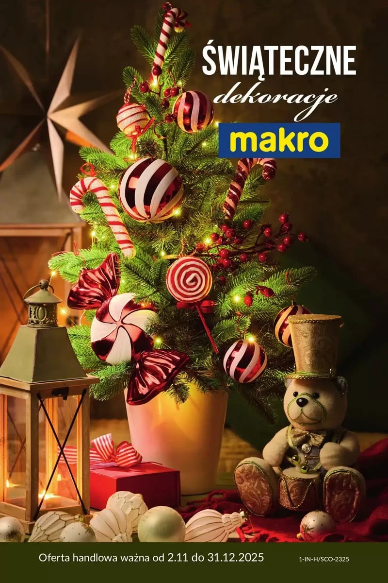 Strona 1 z gazetki Makro