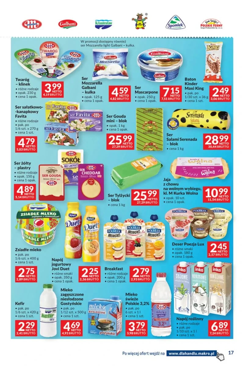 Strona 17 z gazetki Makro