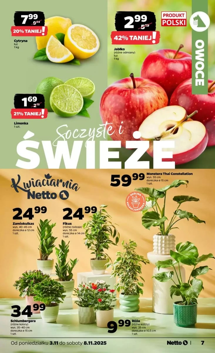 Strona 7 z gazetki Netto