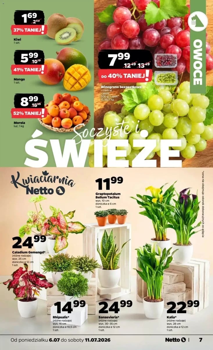 Strona 7 z gazetki Netto