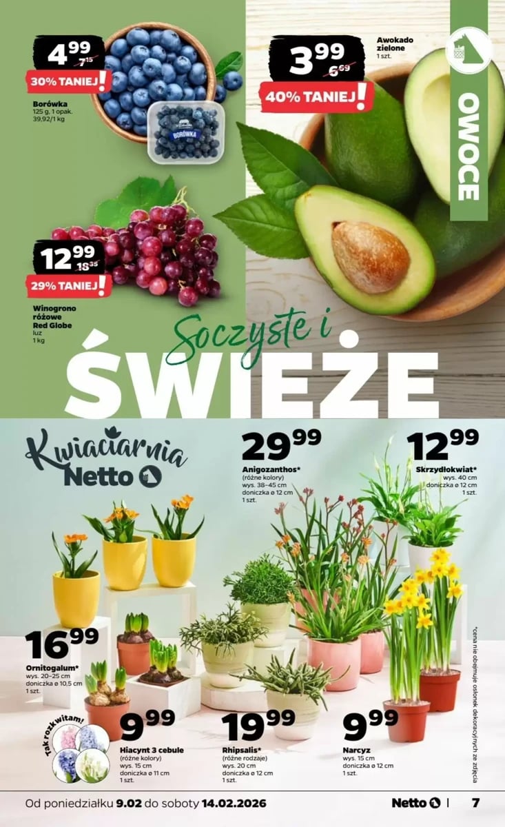 Strona 7 z gazetki Netto