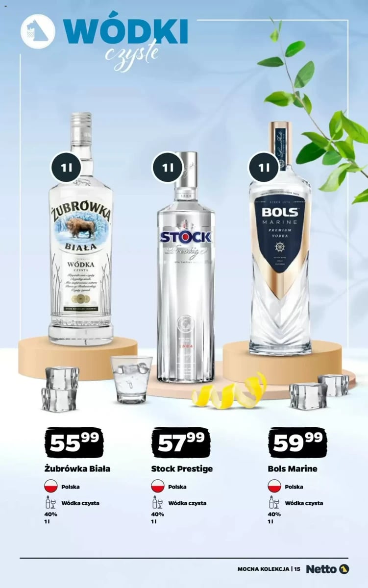 Strona 15 z gazetki Netto