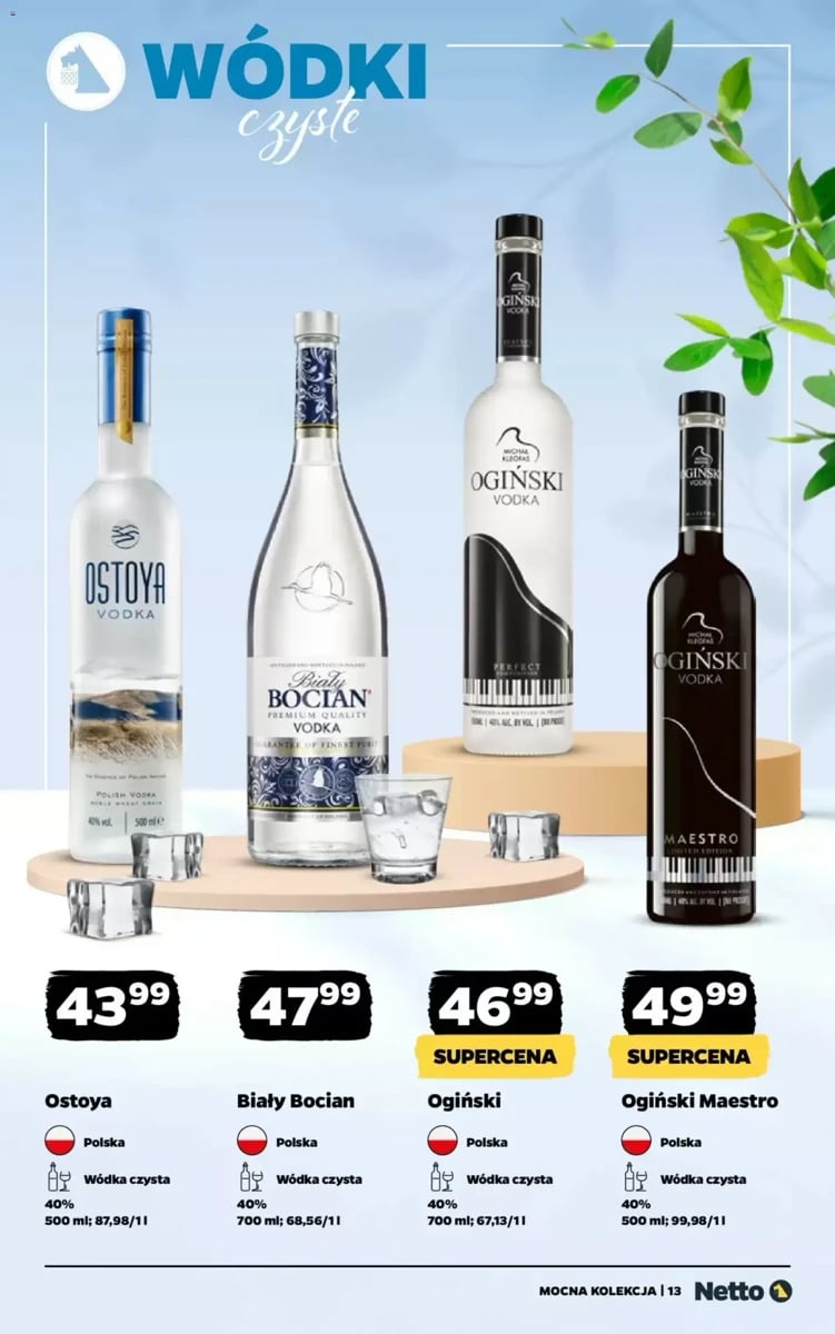 Strona 13 z gazetki Netto