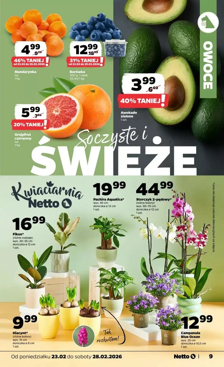 Strona 9 z gazetki Netto