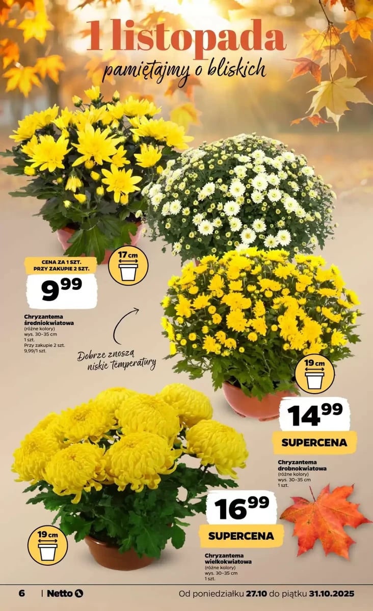 Strona 6 z gazetki Netto
