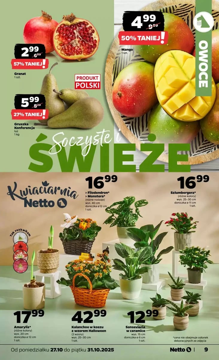 Strona 9 z gazetki Netto