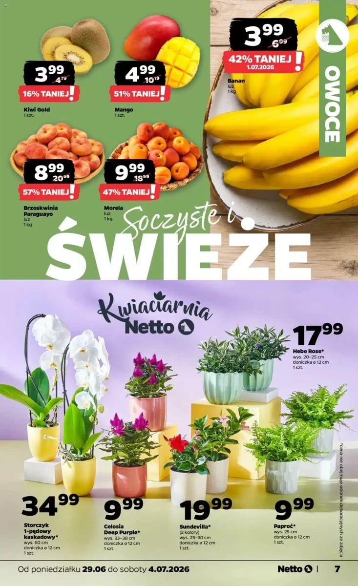 Strona 7 z gazetki Netto