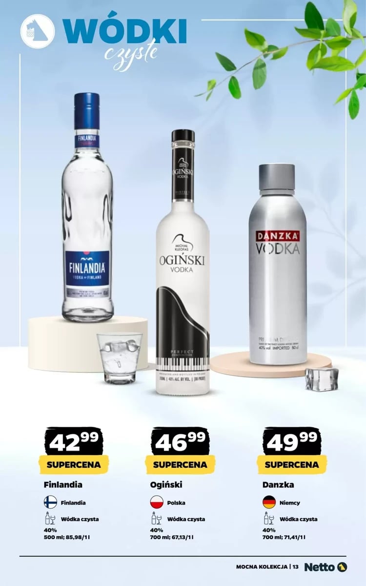 Strona 13 z gazetki Netto