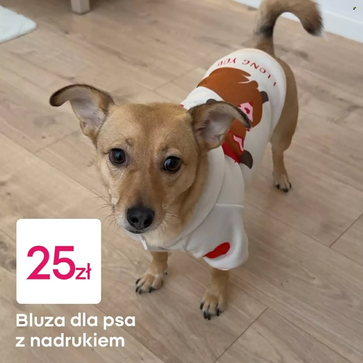 Strona 4 z gazetki Pepco