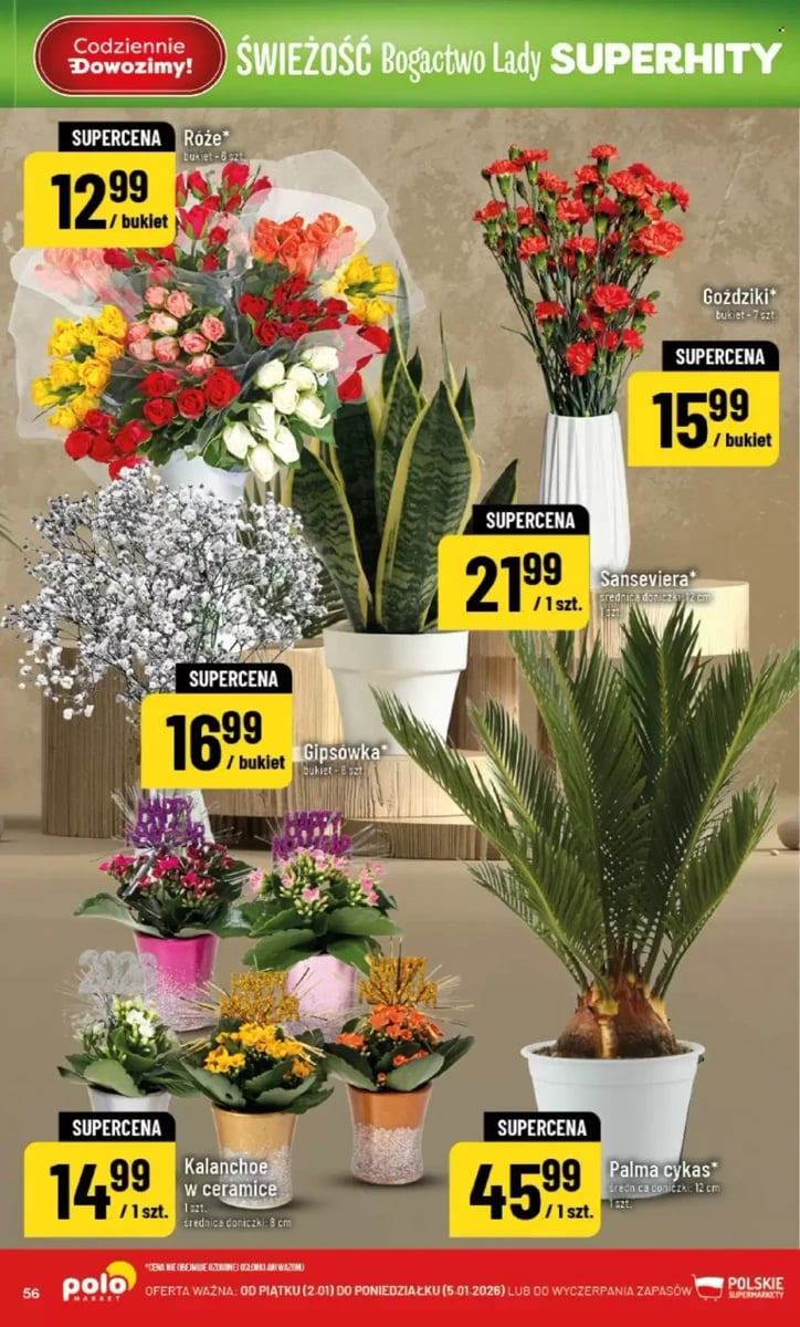 Strona 55 z gazetki Polomarket