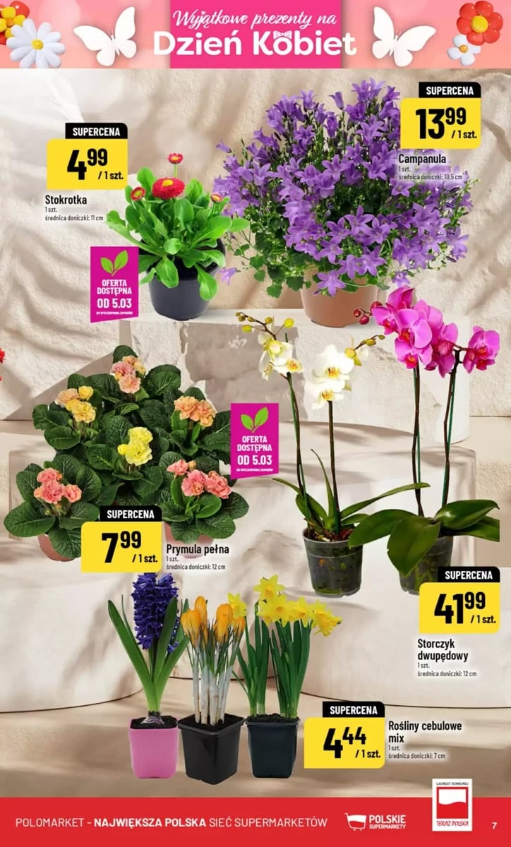 Strona 7 z gazetki Polomarket
