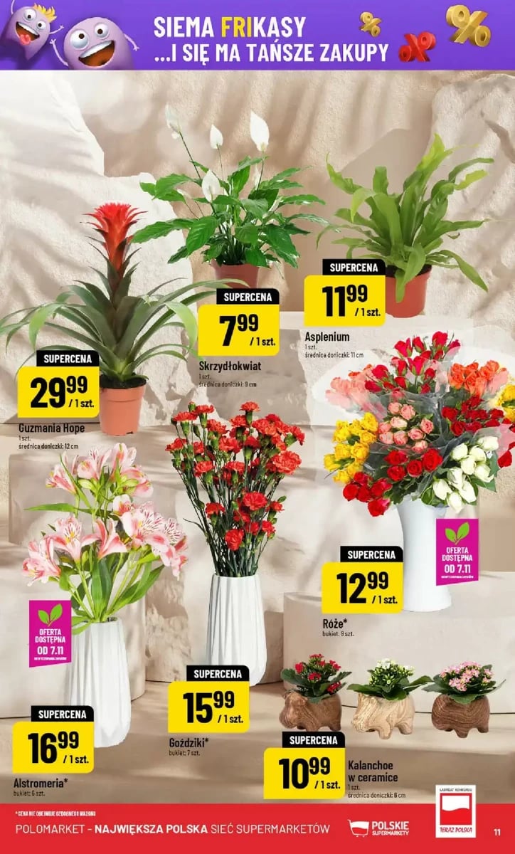Strona 11 z gazetki Polomarket
