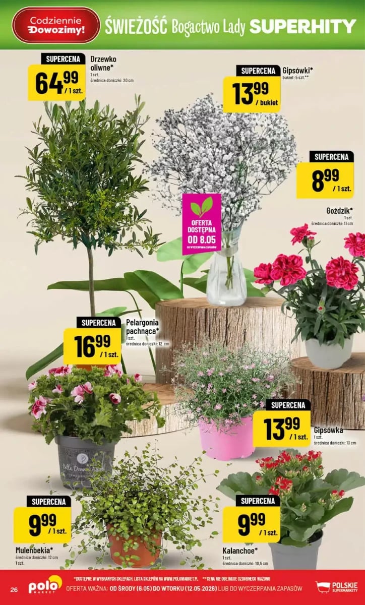 Strona 26 z gazetki Polomarket