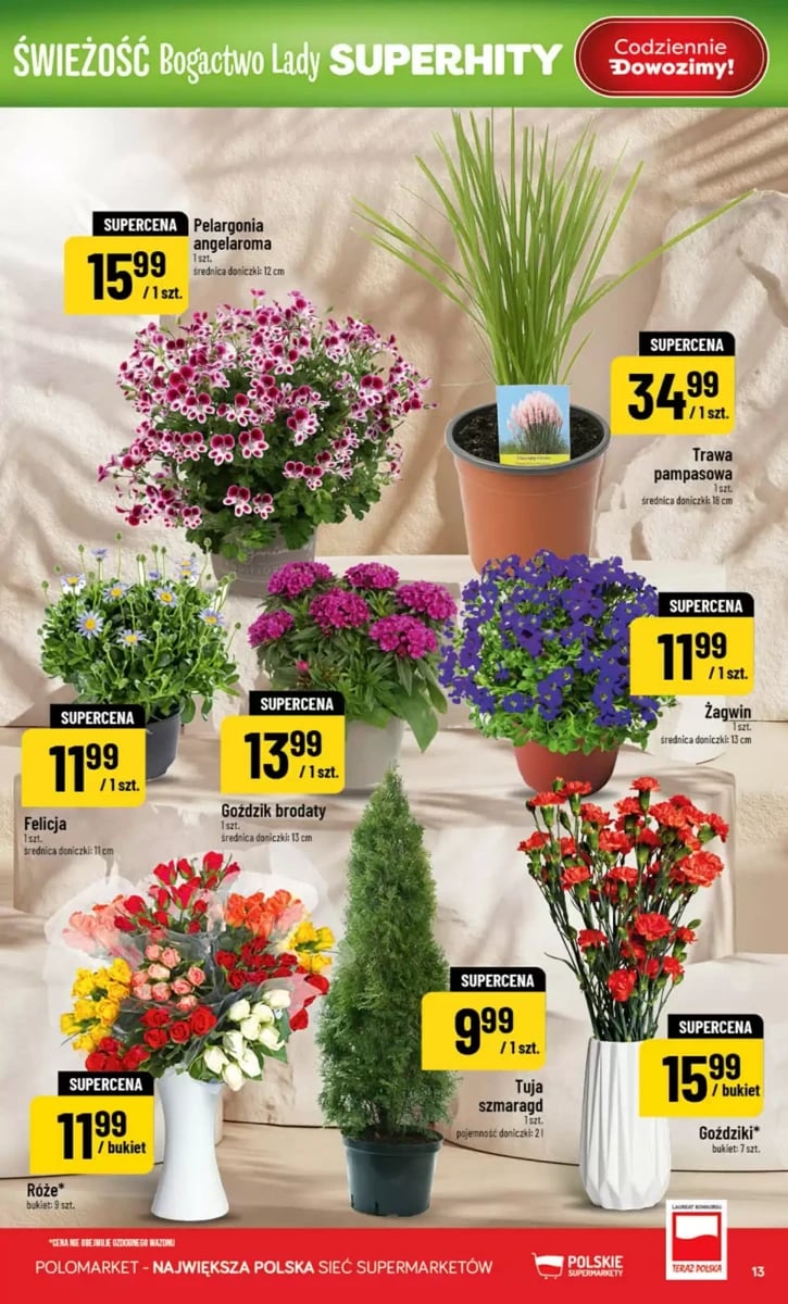 Strona 13 z gazetki Polomarket