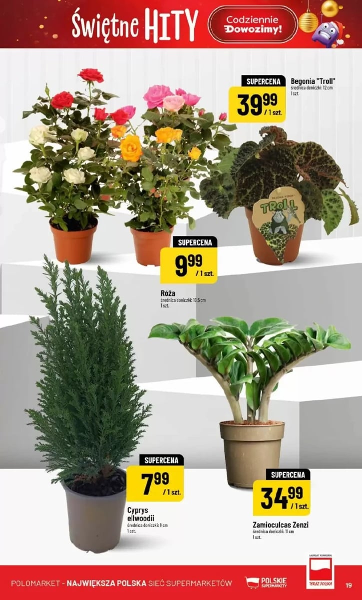 Strona 19 z gazetki Polomarket