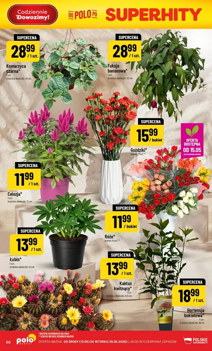 Strona 50 z gazetki Polomarket