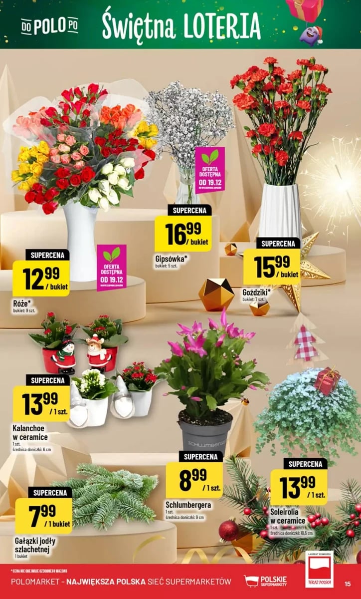 Strona 15 z gazetki Polomarket