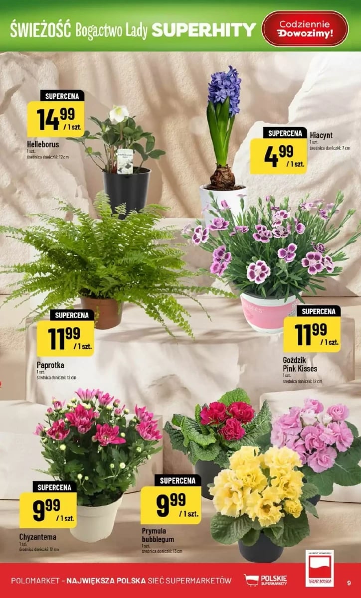 Strona 9 z gazetki Polomarket