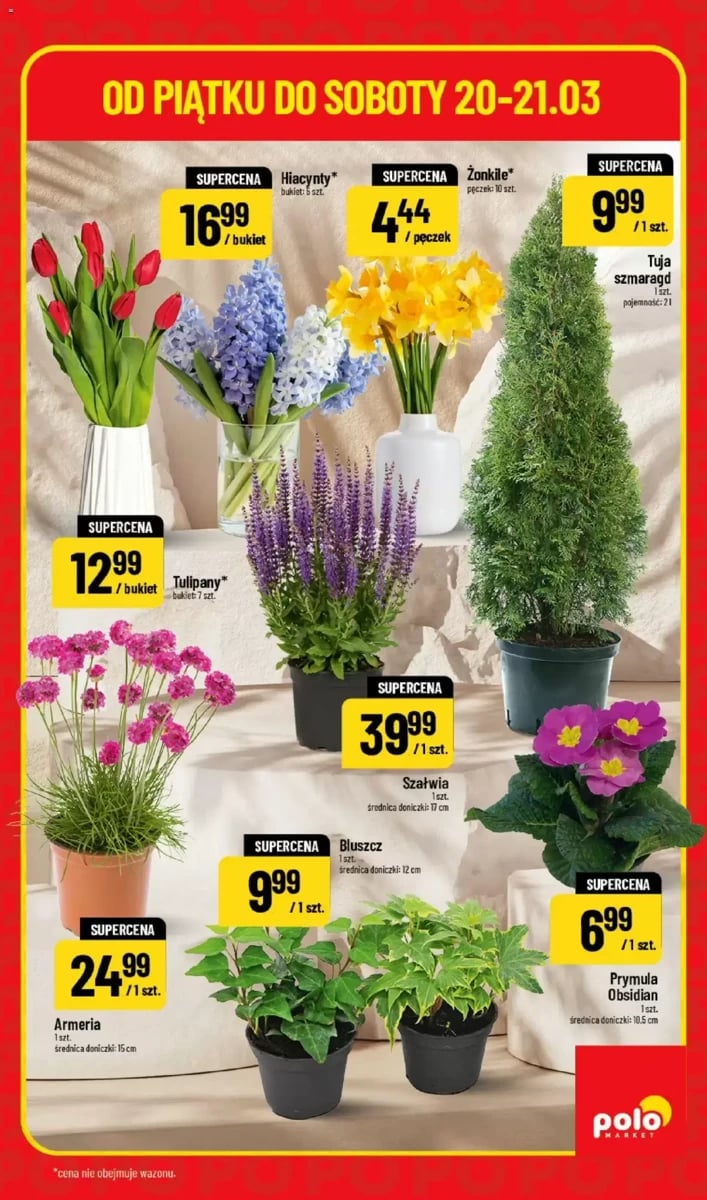 Strona 5 z gazetki Polomarket