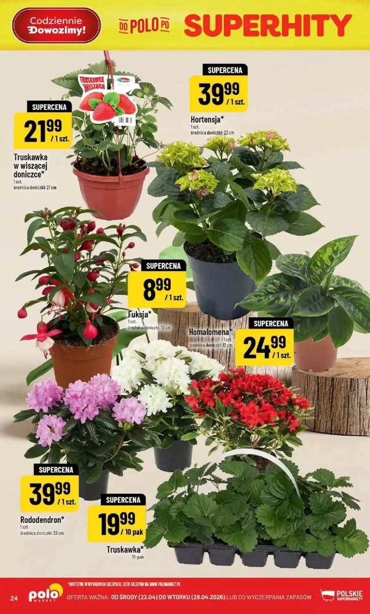 Strona 24 z gazetki Polomarket