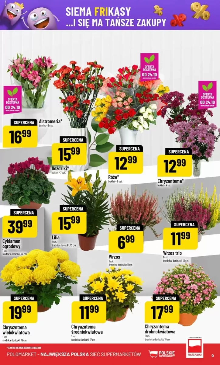 Strona 9 z gazetki Polomarket