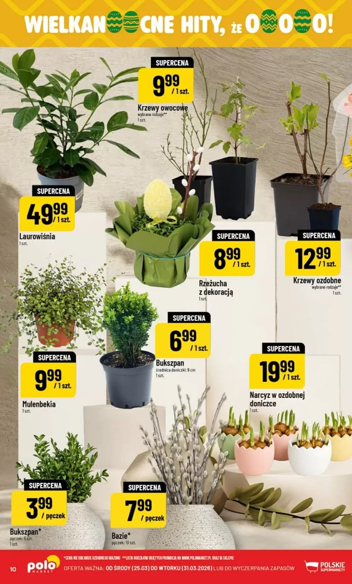 Strona 10 z gazetki Polomarket