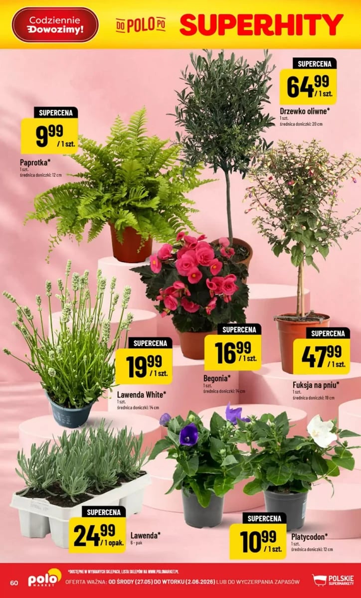 Strona 60 z gazetki Polomarket