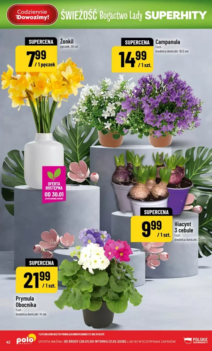 Strona 42 z gazetki Polomarket