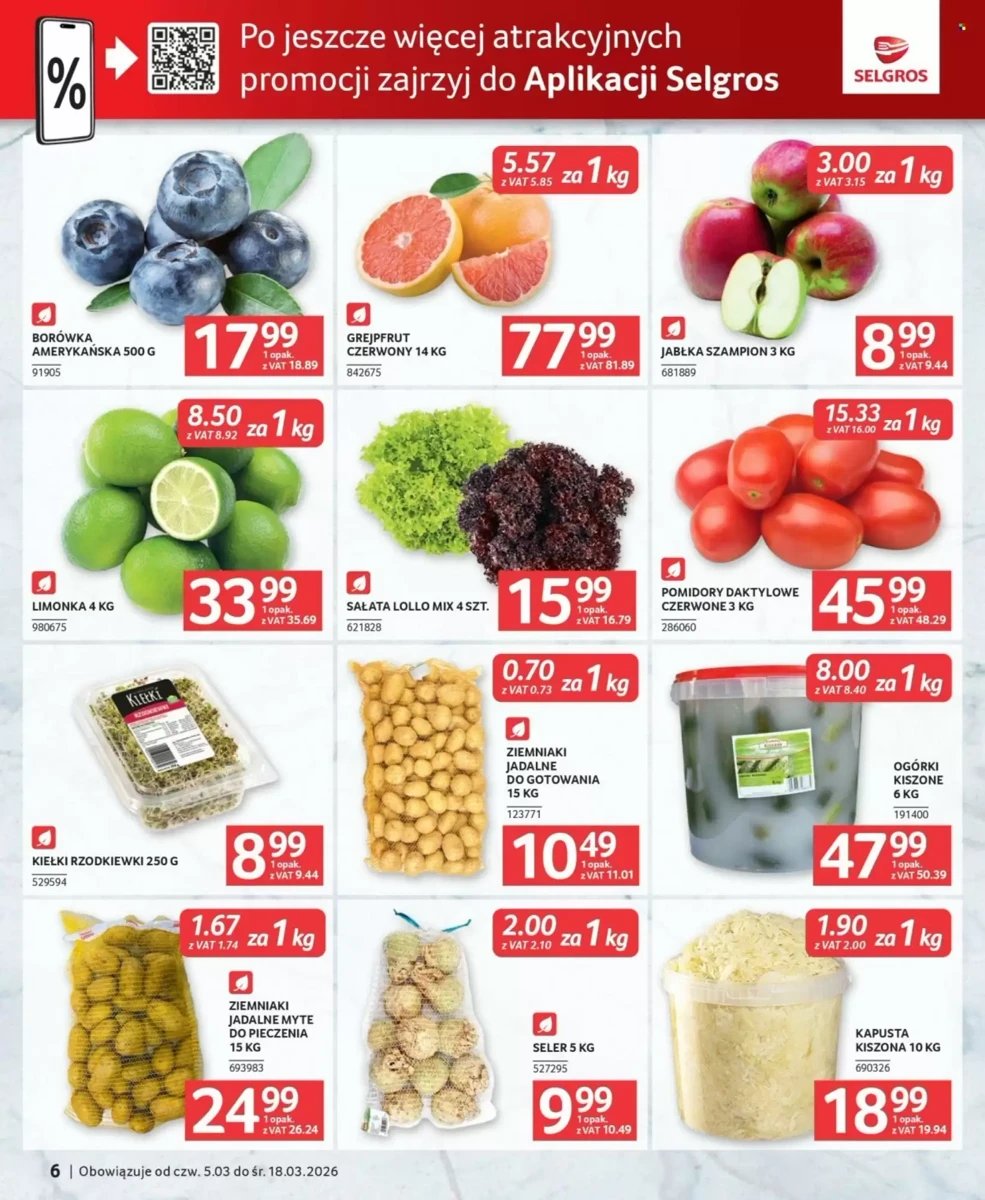Strona 6 z gazetki Selgros
