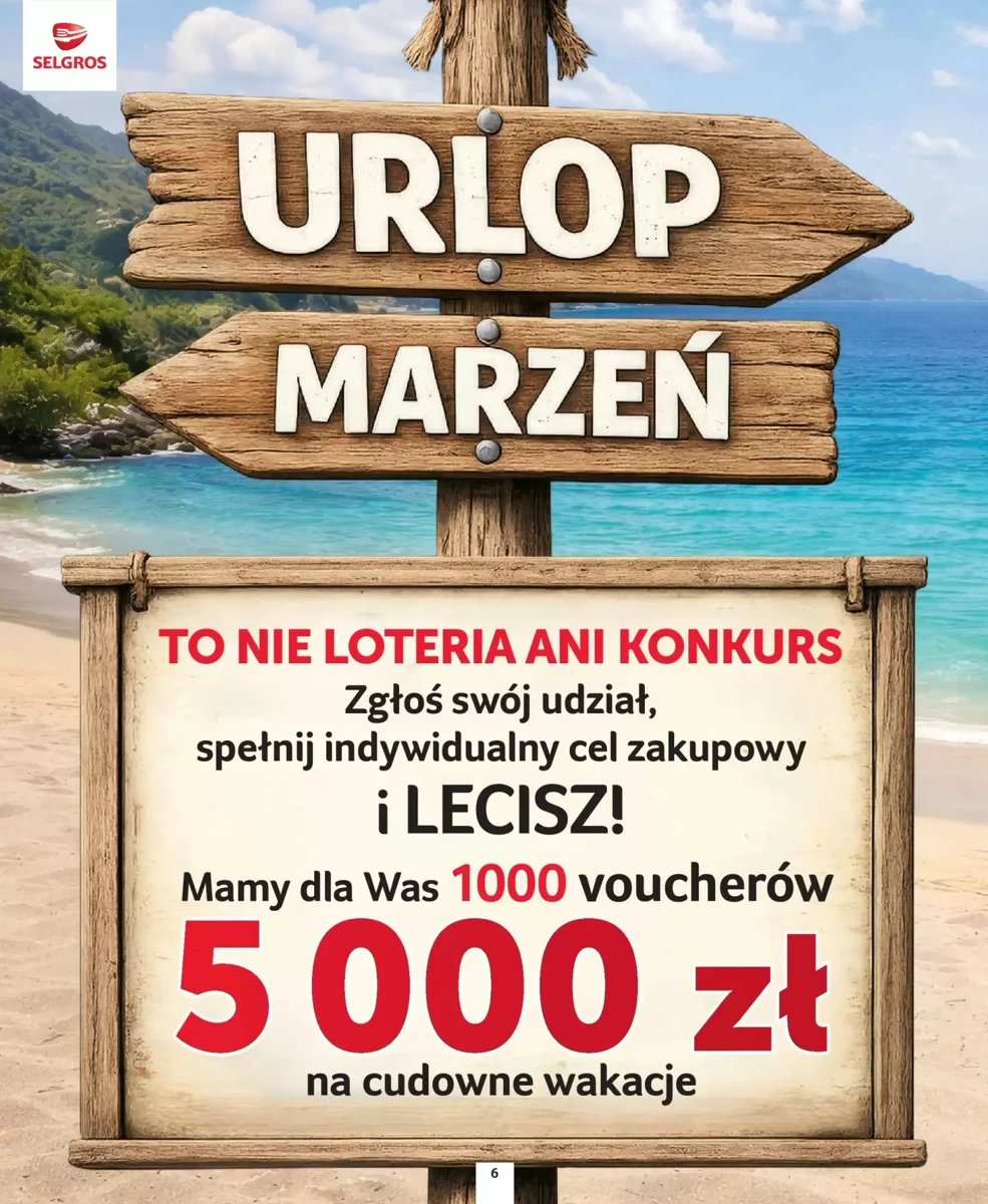 Strona 6 z gazetki Selgros