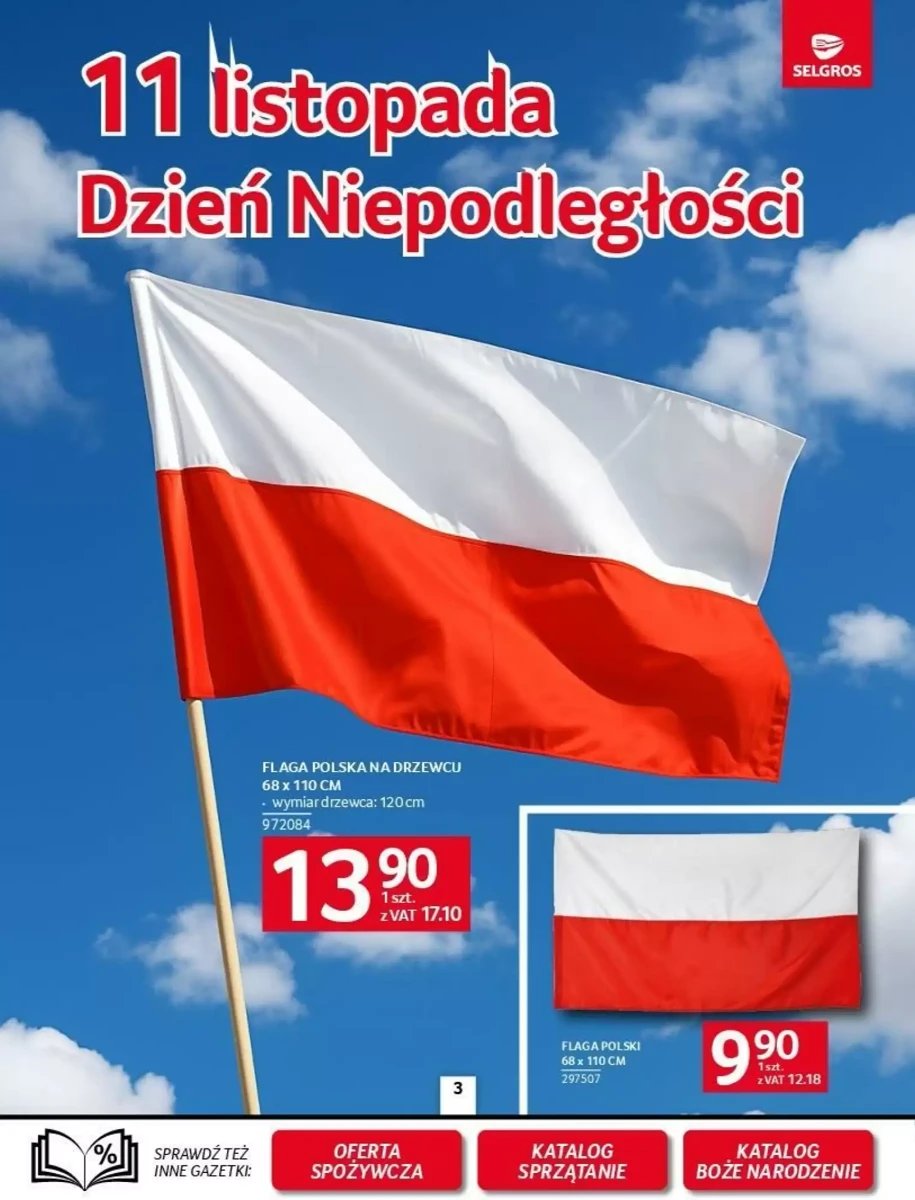 Strona 4 z gazetki Selgros