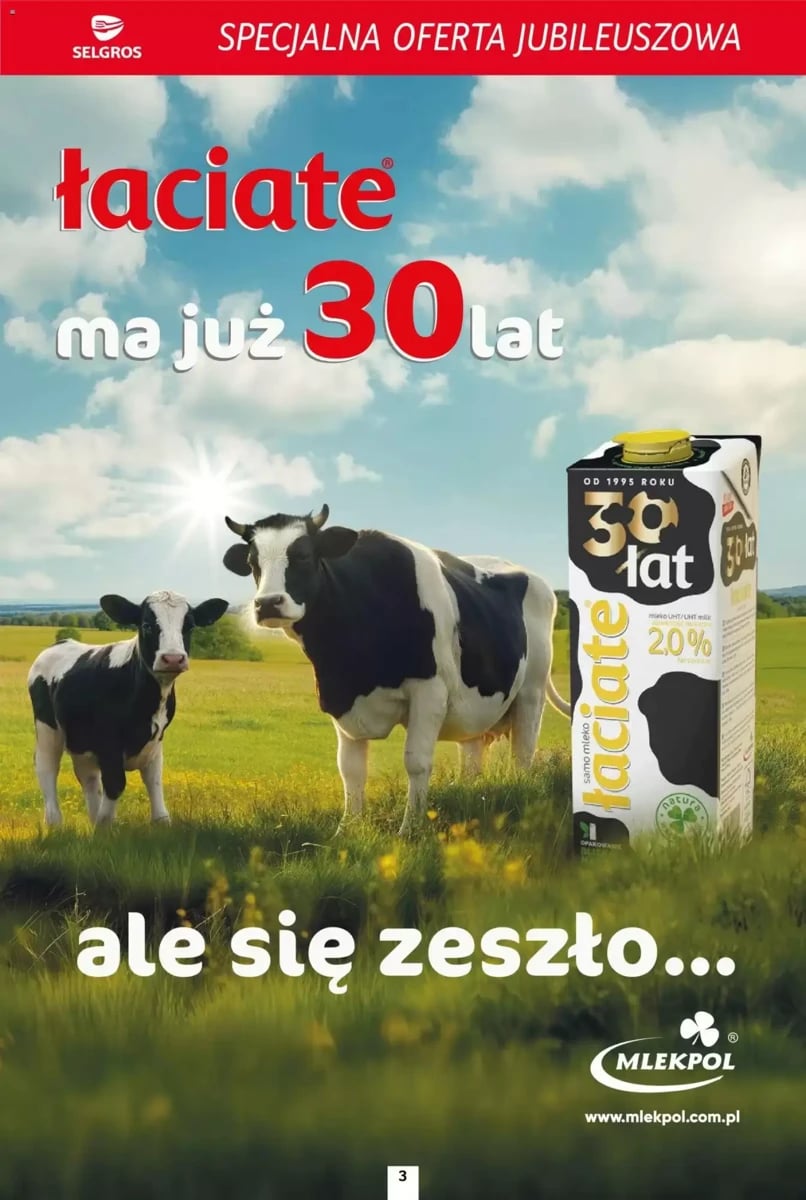Strona 3 z gazetki Selgros